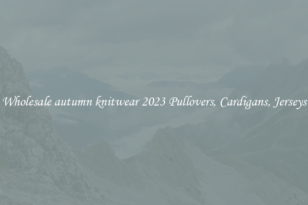 Wholesale autumn knitwear 2023 Pullovers, Cardigans, Jerseys