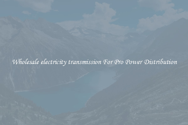 Wholesale electricity transmission For Pro Power Distribution