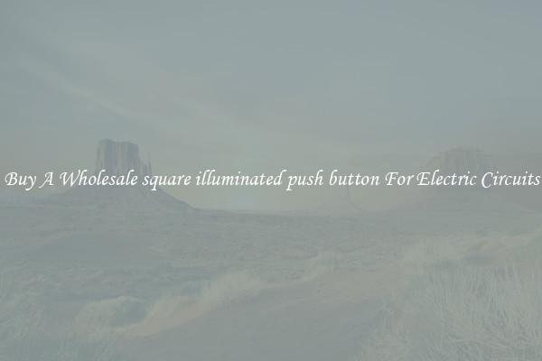 Buy A Wholesale square illuminated push button For Electric Circuits