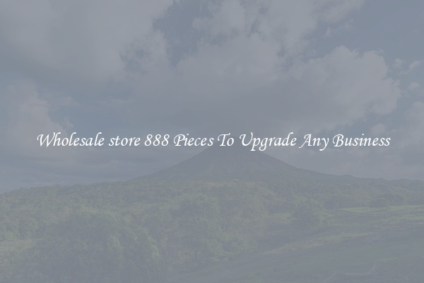 Wholesale store 888 Pieces To Upgrade Any Business