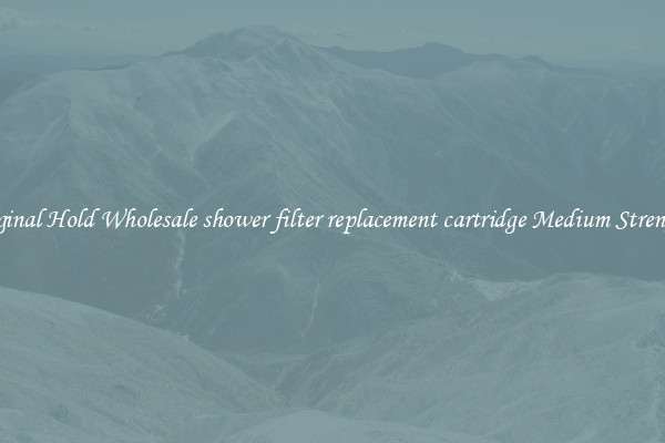 Original Hold Wholesale shower filter replacement cartridge Medium Strength 