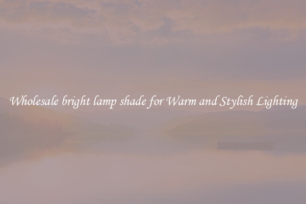 Wholesale bright lamp shade for Warm and Stylish Lighting