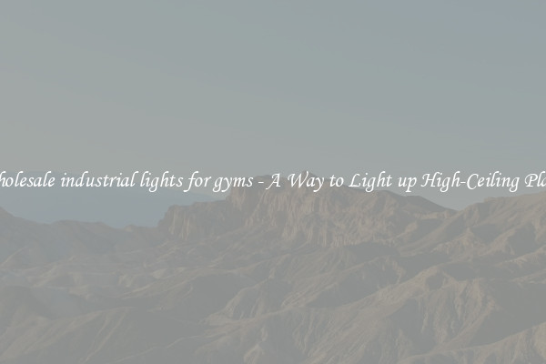 Wholesale industrial lights for gyms - A Way to Light up High-Ceiling Places
