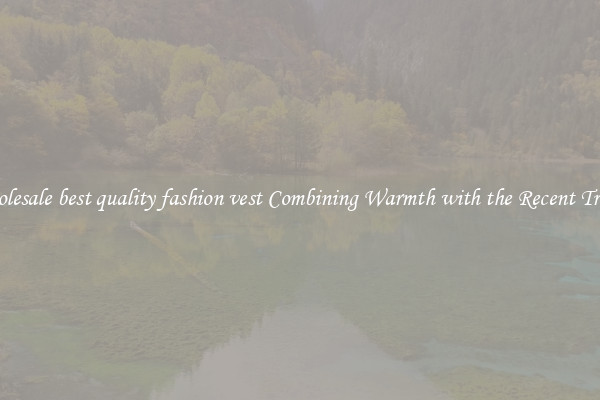 Wholesale best quality fashion vest Combining Warmth with the Recent Trends