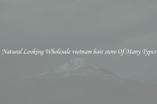 Natural Looking Wholesale vietnam hair store Of Many Types