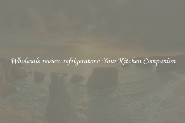 Wholesale review refrigerators: Your Kitchen Companion