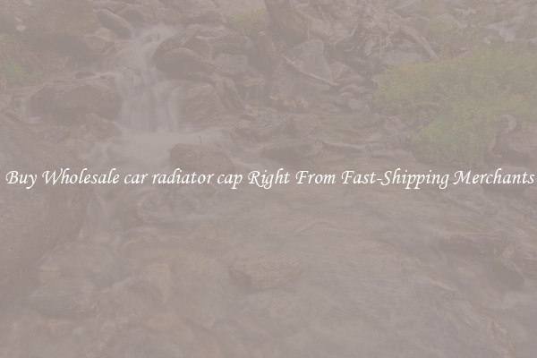 Buy Wholesale car radiator cap Right From Fast-Shipping Merchants