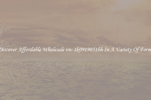Discover Affordable Wholesale vw 1k0919051bh In A Variety Of Forms