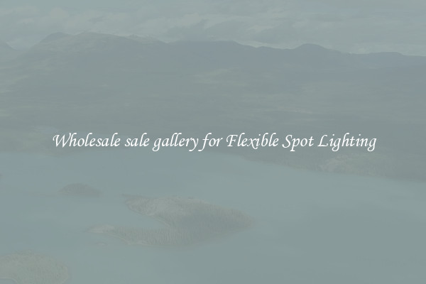 Wholesale sale gallery for Flexible Spot Lighting