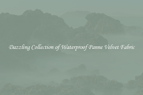 Dazzling Collection of Waterproof Panne Velvet Fabric