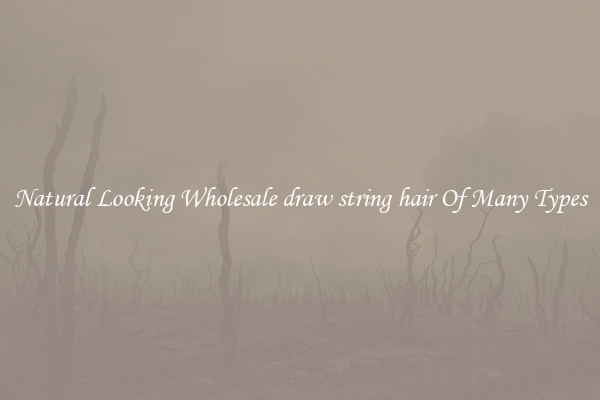 Natural Looking Wholesale draw string hair Of Many Types