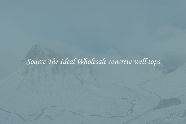 Source The Ideal Wholesale concrete well tops