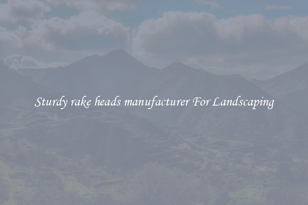 Sturdy rake heads manufacturer For Landscaping