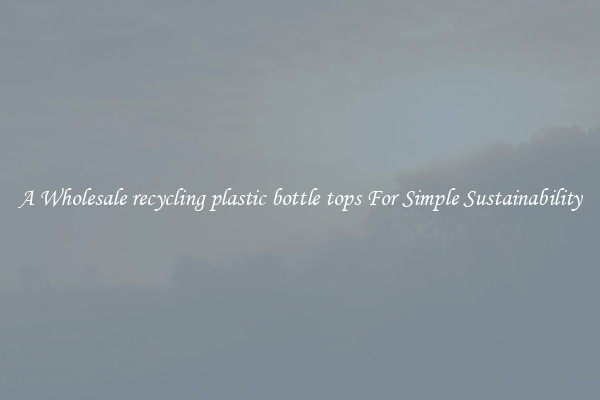  A Wholesale recycling plastic bottle tops For Simple Sustainability 